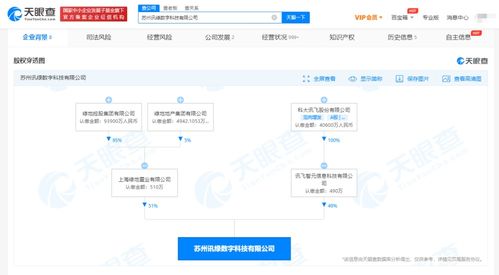 信息系統集成服務 連接數字未來的橋梁