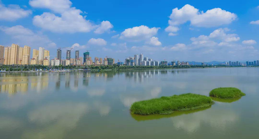 守護(hù)“一泓清水” 漢中市統(tǒng)籌推動(dòng)水污染防治的實(shí)踐與擔(dān)當(dāng)